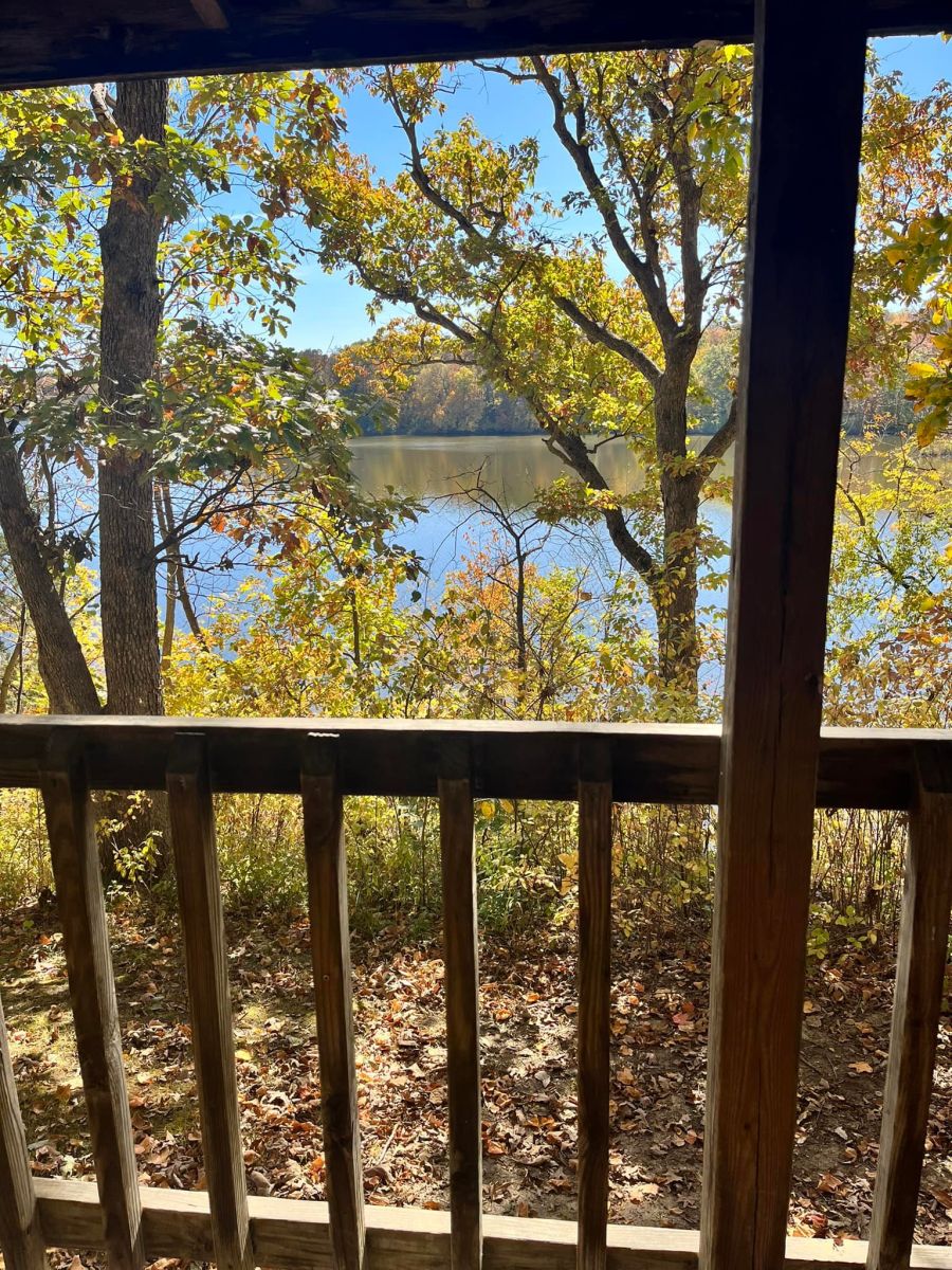 Cabin View